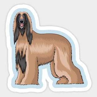 Afghan hound dog cartoon illustration Sticker